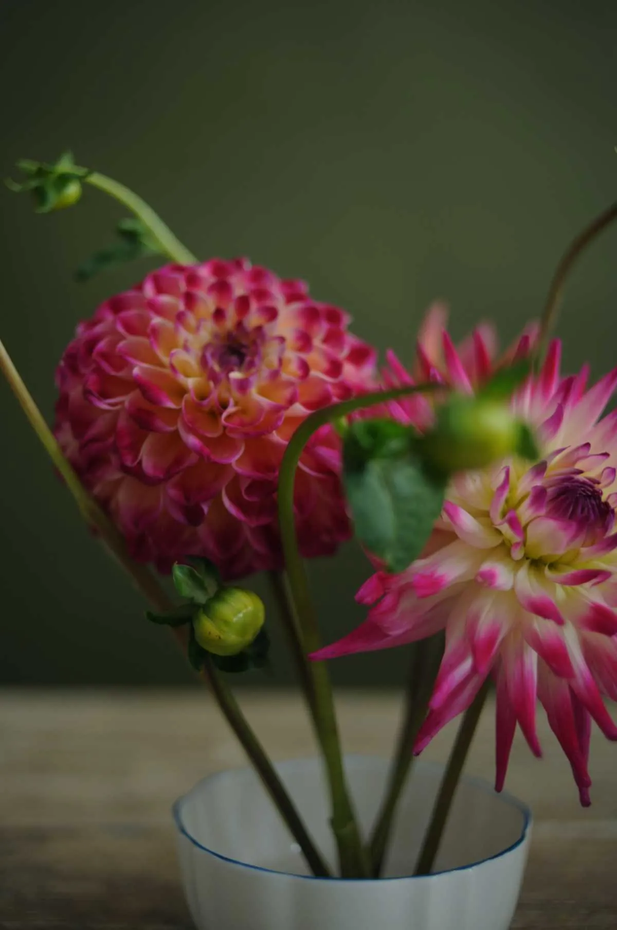 Niwaki Kenzan Flower Frog Small
