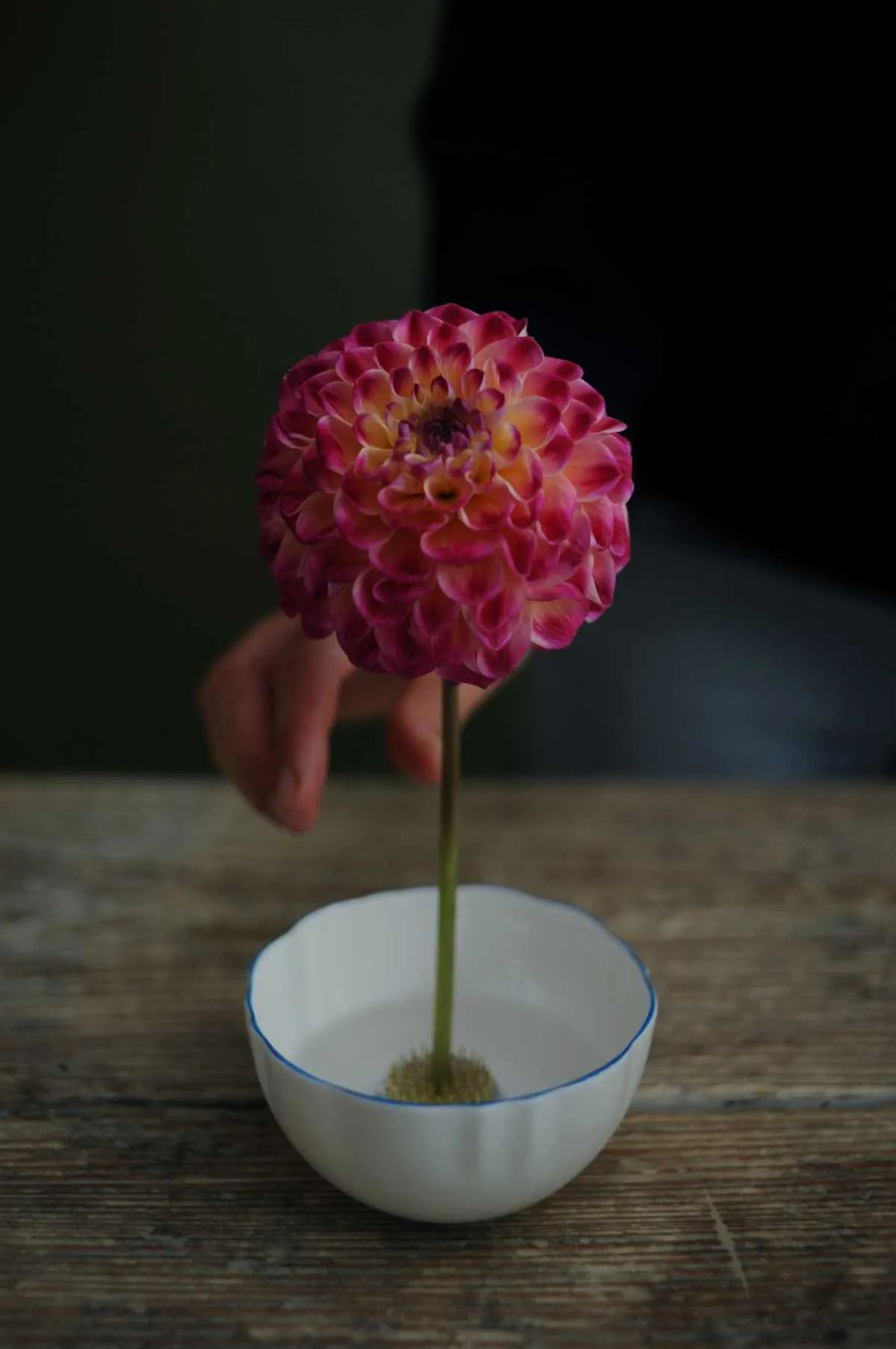 Niwaki Kenzan Flower Frog Small